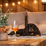 Apartman Landhuus - Design-landhaus Mit Charme *